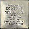 wikimedia_commons=File:Stolpersteine Aachen Zollernstraße 15 Spiegelberg Dr Antonie.jpg