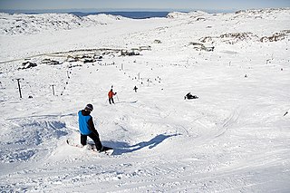 Skiing in Tasmania overview of skiing practiced in Tasmania