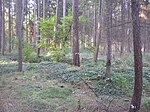 Svidna deserted medieval settlement CZ 592.jpg