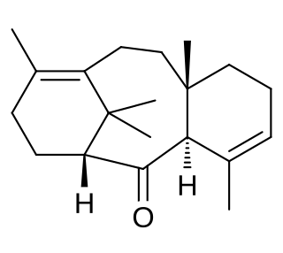 <span class="mw-page-title-main">Taxadienone</span> Chemical compound