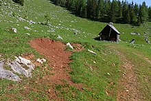 Kalksteinrotlehm (Terra rossa) auf der Stubwiesalm