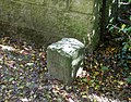 Forest boundary stone