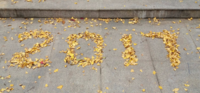 The "2017" made up with Ginkgo leaves cropped version.png