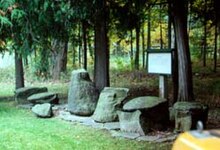 The Gilboa Fossils from the Wattieza tree located in Gilboa, New York discovered in 1920. The Gilboa Fossils from the Wattieza tree located in Gilboa, New York.jpg