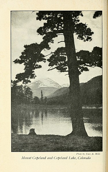 File:The adventures of a nature guide (1920) (17938372305).jpg