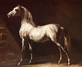 Théodore Géricault, Cheval arabe gris-blanc