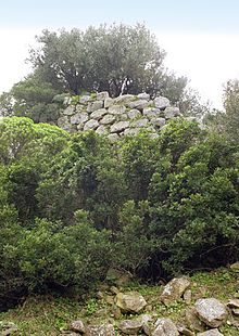 Nuraghe Tilibbas, la tour presque entièrement recouverte d'arbustes et d'oliviers