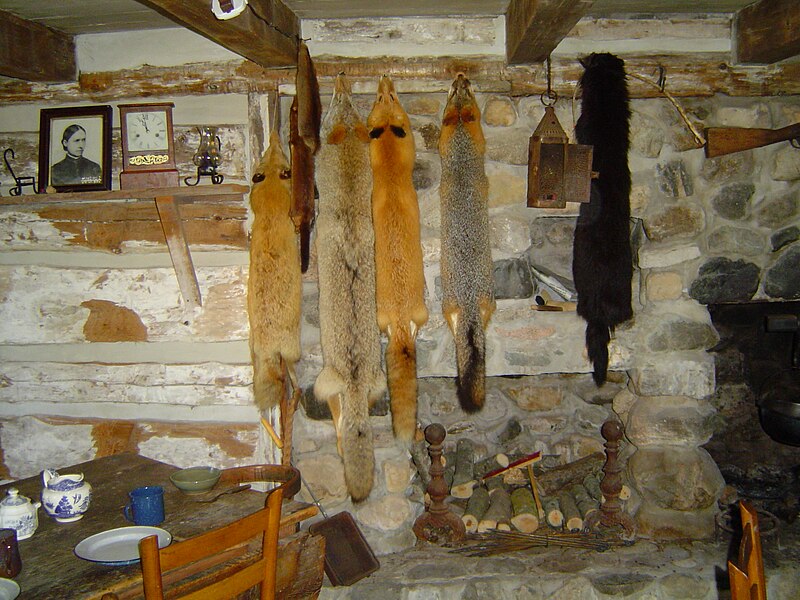 File:Trapper cabin3.jpg