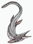 Тилозавр (Tylosaurus)