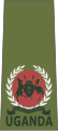 Major (Ugandan Land Forces)※