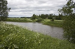 Kourajoen suu Loimijoessa Huittisten Vampulassa.