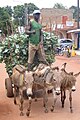 Vegetable Vendor - Bobo-Dioulasso - Burkina Faso.jpg