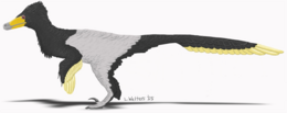 A Velociraptor mongoliensis rekonstrukciója