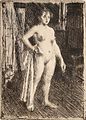 Venus de la Vilette, 1893