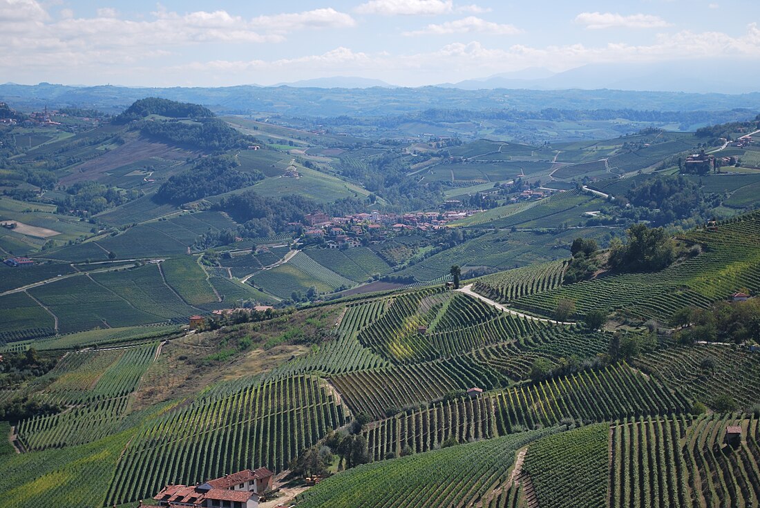 Langhe