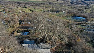 A sign towards Tnjri, a 2000-year old plane-tree near Skhtorashen