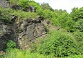 Čeština: Výchozy kambrických hornin, přírodní památka Vinice v Jincích, okres Příbram English: Outcrops of the Cambrian rocks, natural monument Vinice near Jince in Příbram District