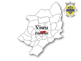 Localização no concelho de Viseu