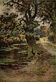 Wilfrid Ball - A path in the new forest.jpg