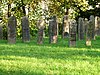 Winsum - Joodse begraafplaats -stenen.jpg