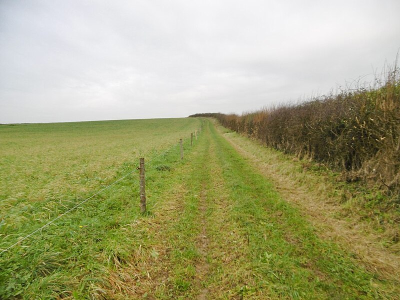 File:Witchampton, footpath - geograph.org.uk - 4768382.jpg