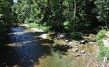 Mündung der Gauchach in die Wutach