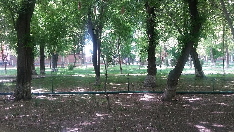 File:Yerevan, English Park 15.jpg