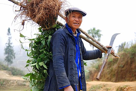 A farmer of the Hani minority, famous for their rice terraced mountains in Yuanyang County, Yunnan
