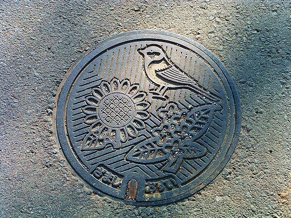 Manhole cover depicting symbols of Zama