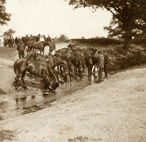 File:(NL c.1900) Exercise Horse Artillery Corps, Pict. AKL091990.jpg