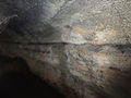 (lava tunnel) El Chato Reserve, Santa Cruz Highlands, Galápagos), inside view pic s.JPG