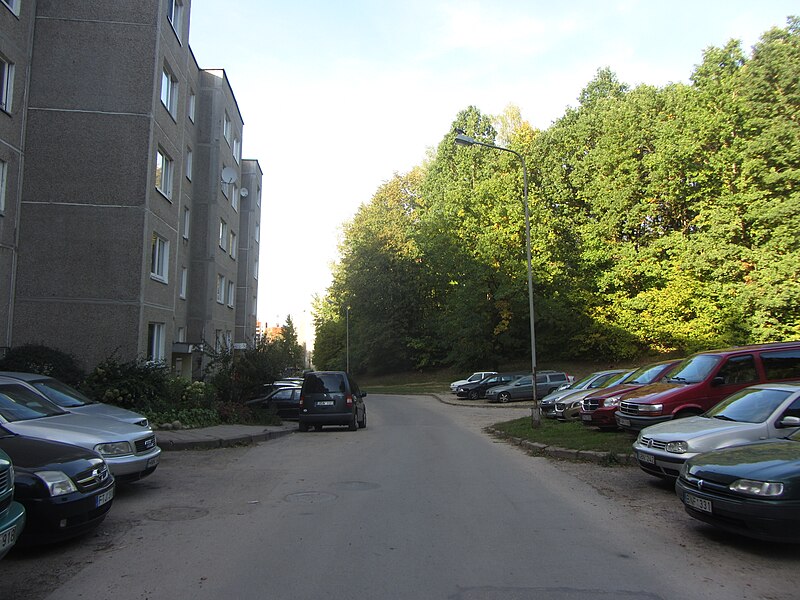 File:Žemieji Paneriai, Vilnius, Lithuania - panoramio - VietovesLt (64).jpg