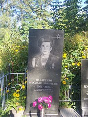 Могила Назаренка В.Д., який загинув у Афганістані, вул. Чехова, Лучанське кладовище.JPG
