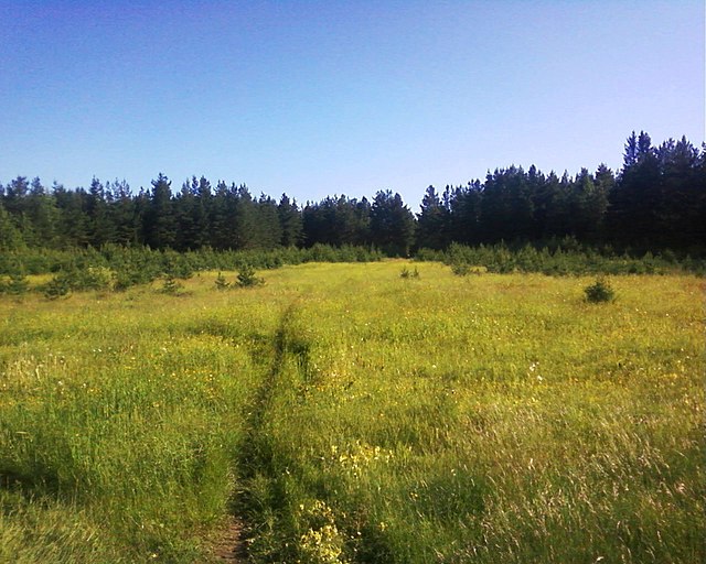 Landscape in Verhnetoymesky District