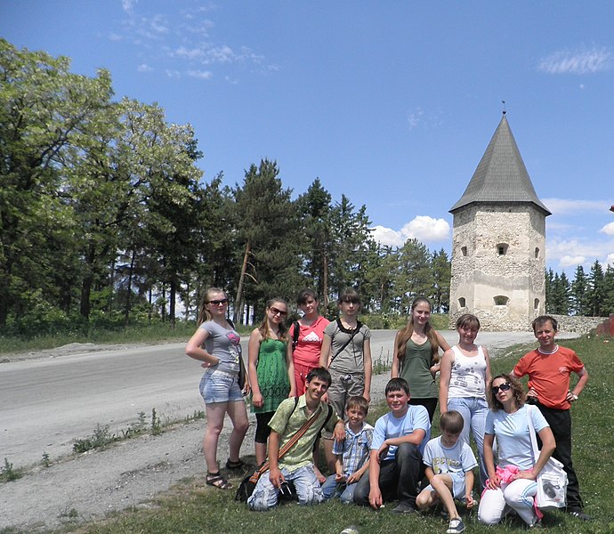 File:Південно-західна вежа Кривченського замку, с. Кривче.jpg