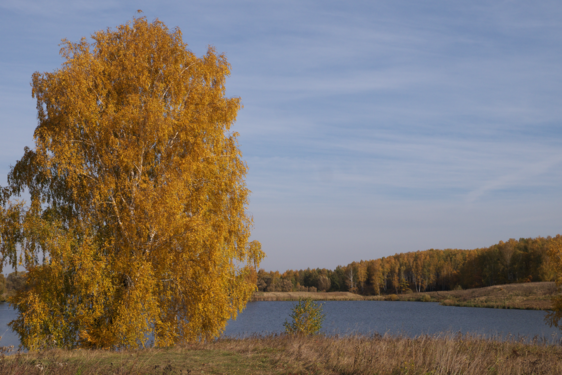 Река Вобля в районе села Троицкие Борки