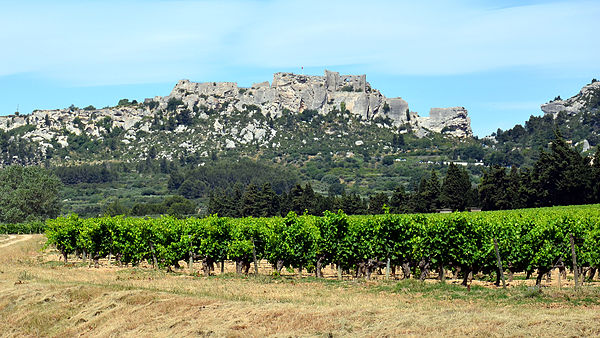 Les Baux-de-Provence with vineyards