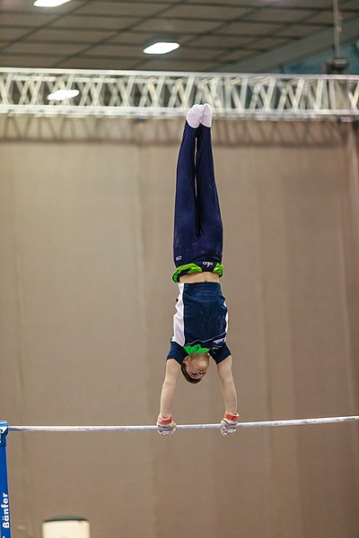 File:15th Austrian Future Cup 2018-11-24 Andri Stacher (Norman Seibert) - 06430.jpg