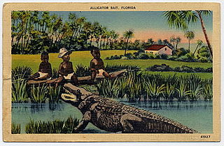 <span class="mw-page-title-main">Alligator bait</span> Urban legend and racist trope