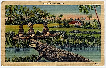 Three black babies near an alligator. The top of the postcard reads "Alligator Bait, Florida".