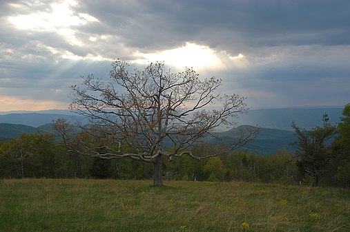 Tanners Ridge Overlook as the sun begins to set, Shenandoah National Park, VA