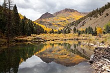 Shallow Creek, west of Creede, CO