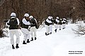 2013. 1 육군 15사단 DMZ 수색작전Search Operation in DMZ of Republic of Korea Army 15th Division (8669664229).jpg
