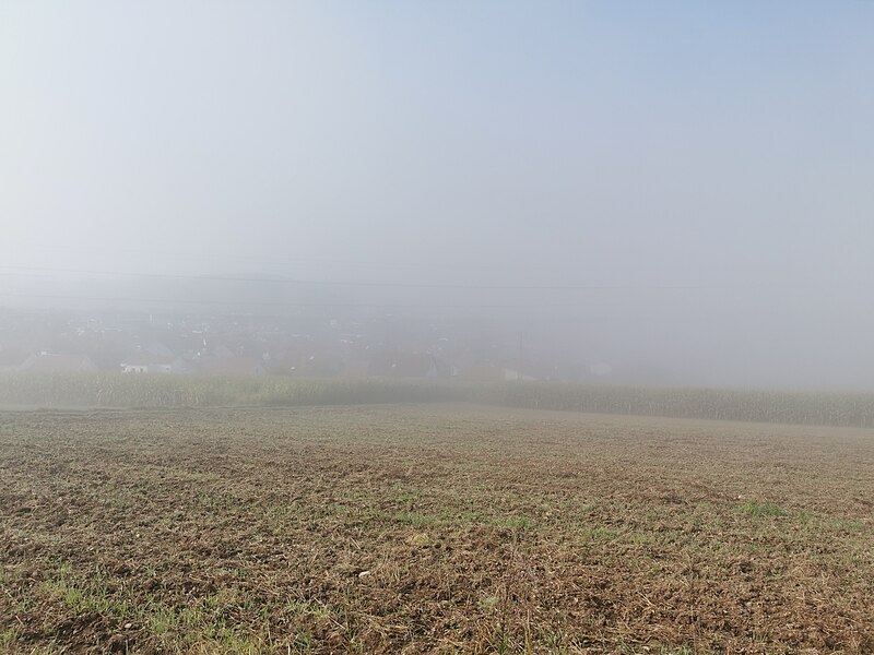 File:2021-09-18 Nebel in Tauberbischofsheim 8.jpg