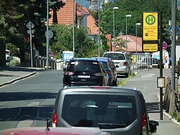 2023-06-03 Naußlitzer Straße, Dresden, 06