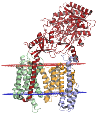 <span class="mw-page-title-main">Gamma secretase</span> Type of protein