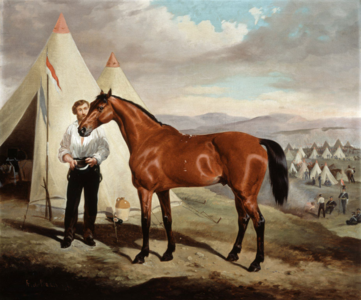 Sir Briggs (après 1854), cheval de bataille renommé de Godfrey Morgan (1er vicomte Tredegar). Briggs portait milord Tredegar dans la bataille de Balaclava où ils participèrent à la charge de la brigade légère, à laquelle ils ont survécu tous les deux. En reconnaissance de sa bravoure, le baron fit de son cheval un chevalier, lui changeant son nom dès lors en « Sir » Briggs. Ce tableau appartient au National Army Museum (Londres).