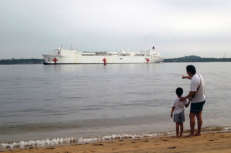 File:A Singaporean man shows his son, US Navy (USN) Military Sealift Command (MSC) Hospital Ship, USNS MERCY (T-AH 19) as it transits the Johor Strait that separates Singapore and Malays - DPLA - cfc19d65c1b91035a0b6e1c14ab2db8c.jpeg