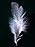 A single white feather closeup.jpg