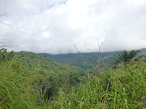 Široký pohled na Mbayang Mbo Wildlife Sanctuary landscape.jpg